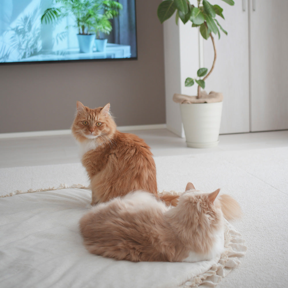 NATURAL MAISON(ナチュラルメゾン)|ティングルマット 愛犬も猫ものんびりするラッフルプレイマット