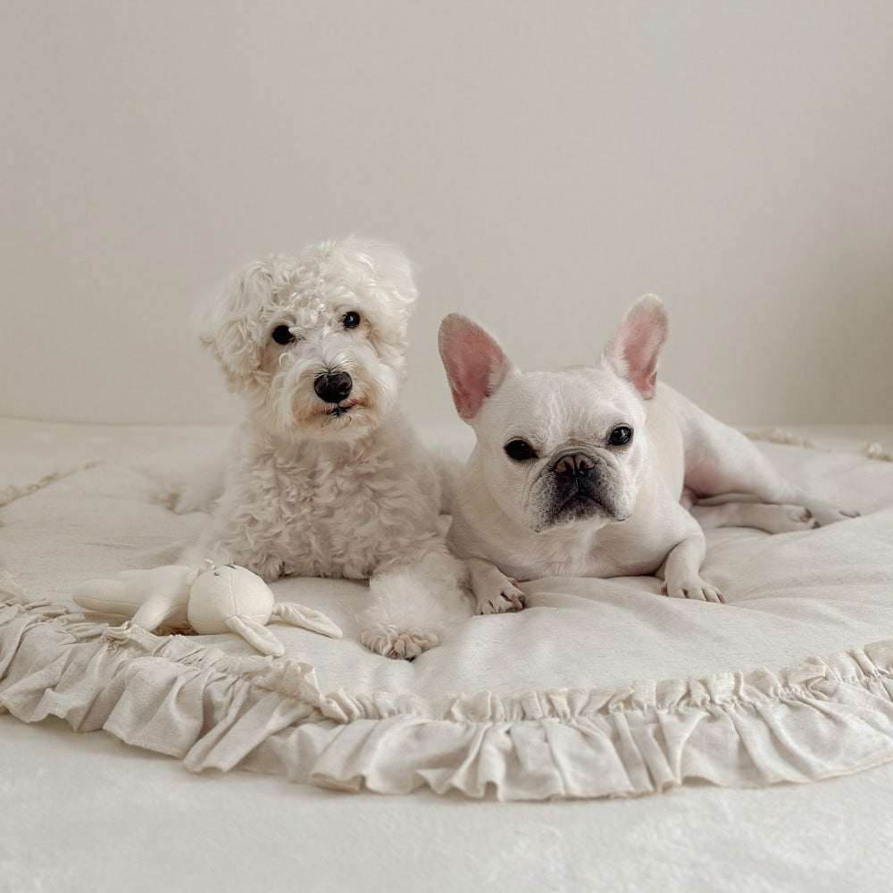 cuna pet(クーナペット)|おうちでおしゃれにリラックスセット for DOG