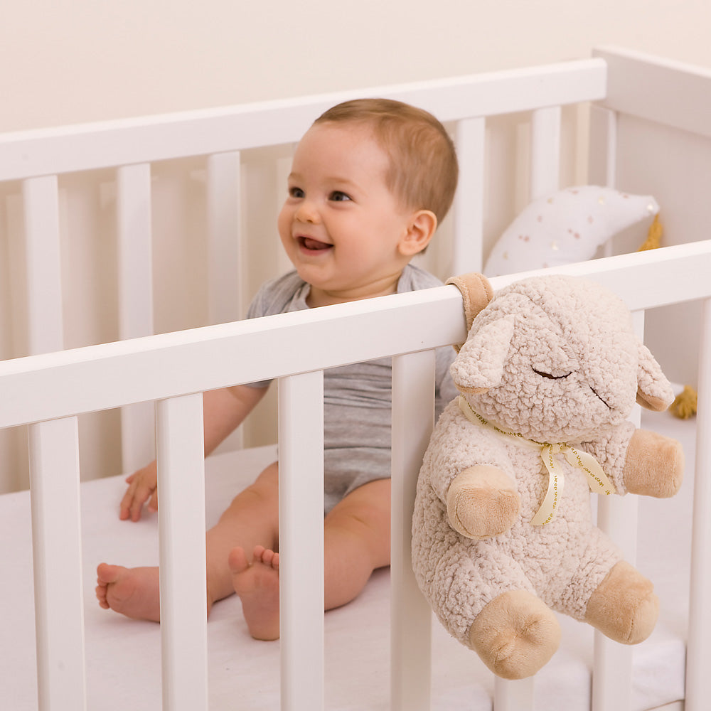 cloud b(クラウドビー)| スリープシープ