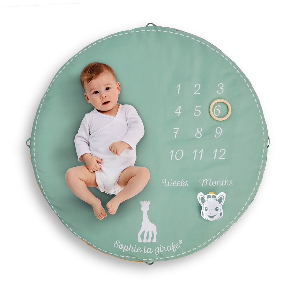 キリンのソフィー|マイルストーンベビージム|Vulli(ヴュリ)