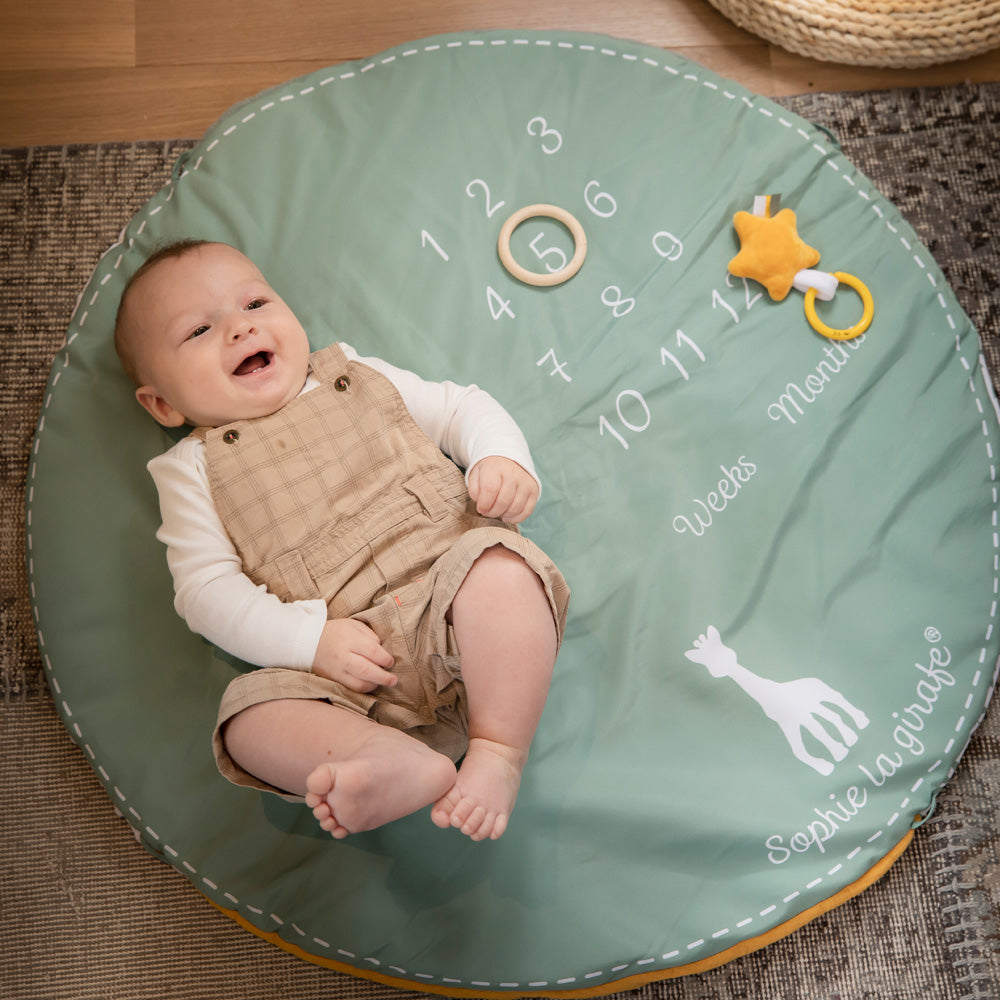 キリンのソフィー|マイルストーンベビージム|Vulli(ヴュリ)