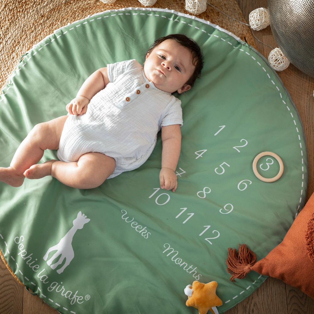 キリンのソフィー|マイルストーンベビージム|Vulli(ヴュリ)