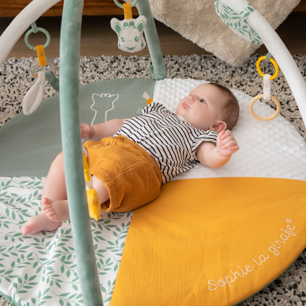 キリンのソフィー|マイルストーンベビージム|Vulli(ヴュリ)