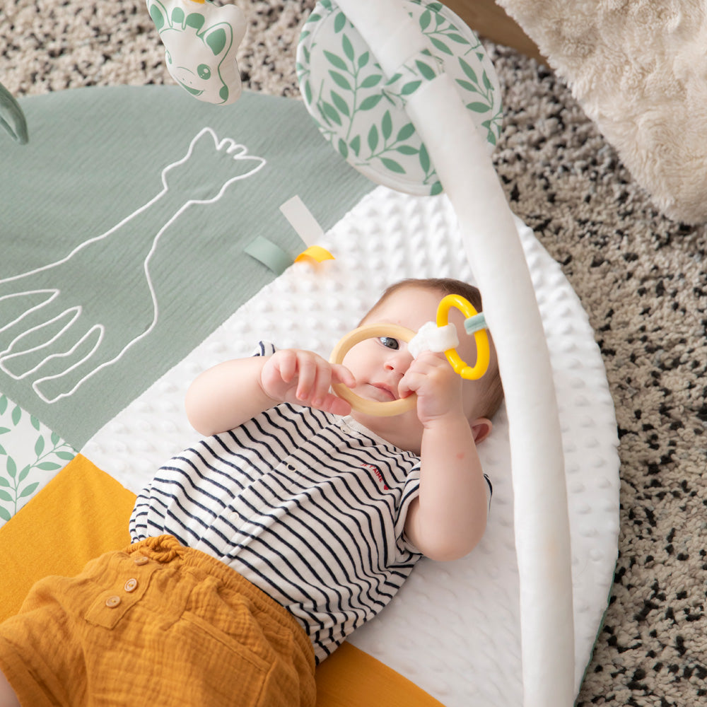 キリンのソフィー|マイルストーンベビージム|Vulli(ヴュリ)