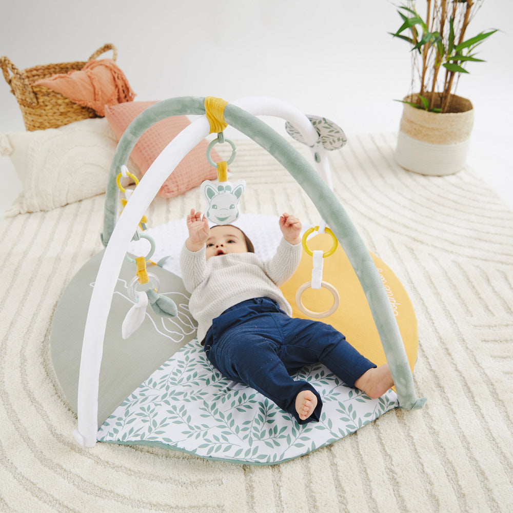 キリンのソフィー|マイルストーンベビージム|Vulli(ヴュリ)