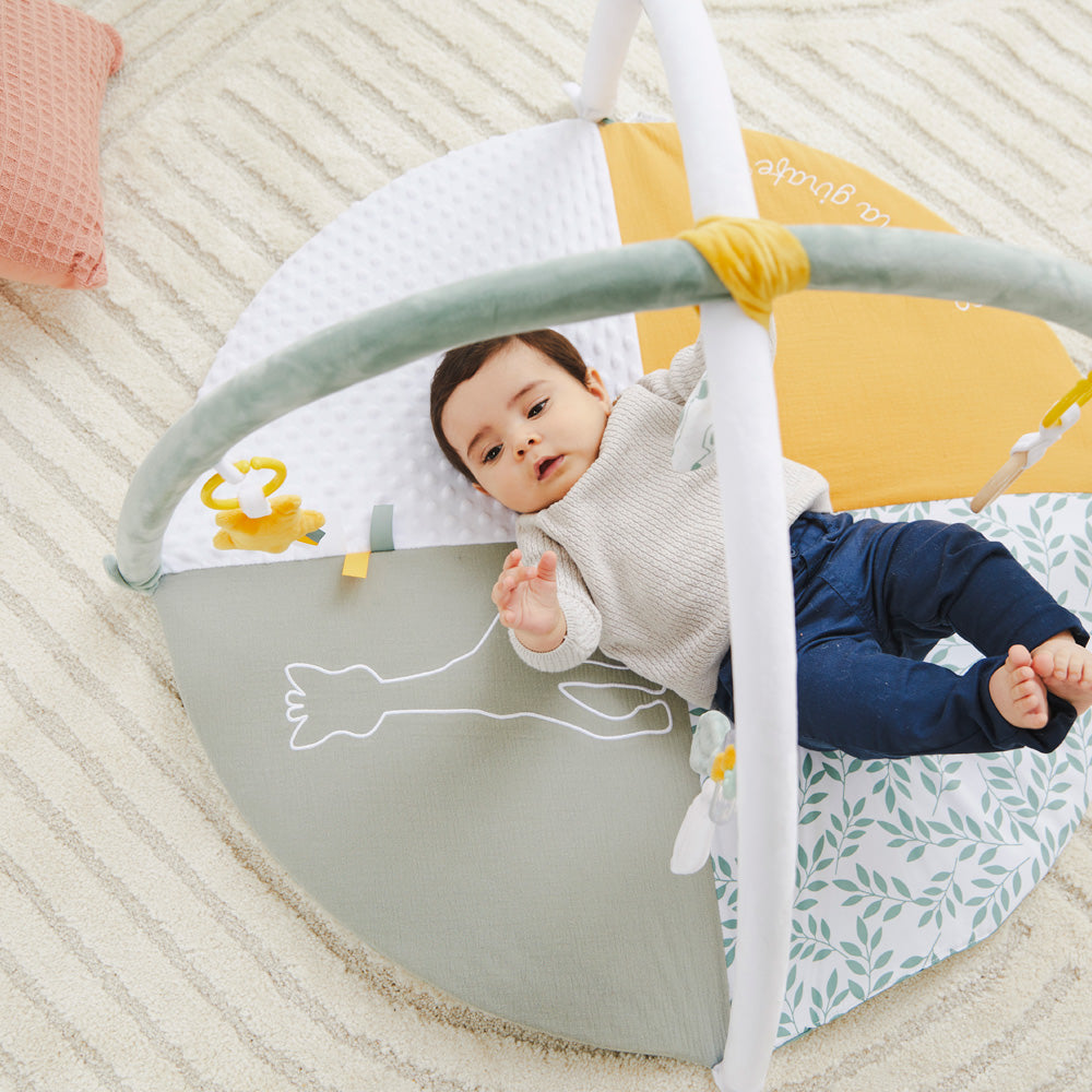 キリンのソフィー|マイルストーンベビージム|Vulli(ヴュリ)