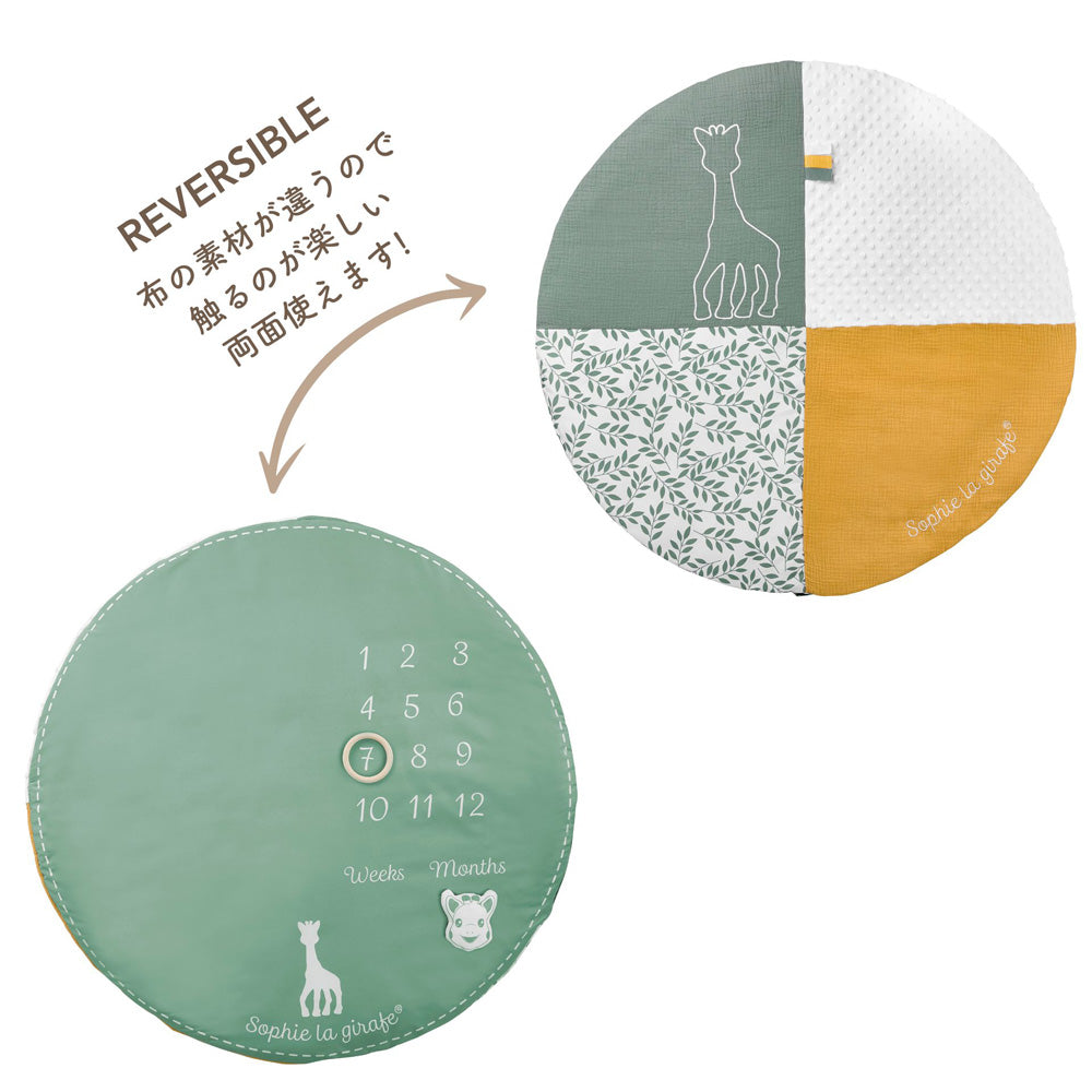 キリンのソフィー|マイルストーンベビージム|Vulli(ヴュリ)