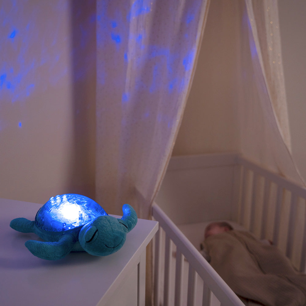 cloud b(クラウドビー)| オーシャンプロジェクター アクアタートル