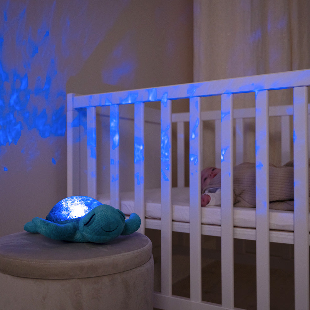 cloud b(クラウドビー)| オーシャンプロジェクター アクアタートル