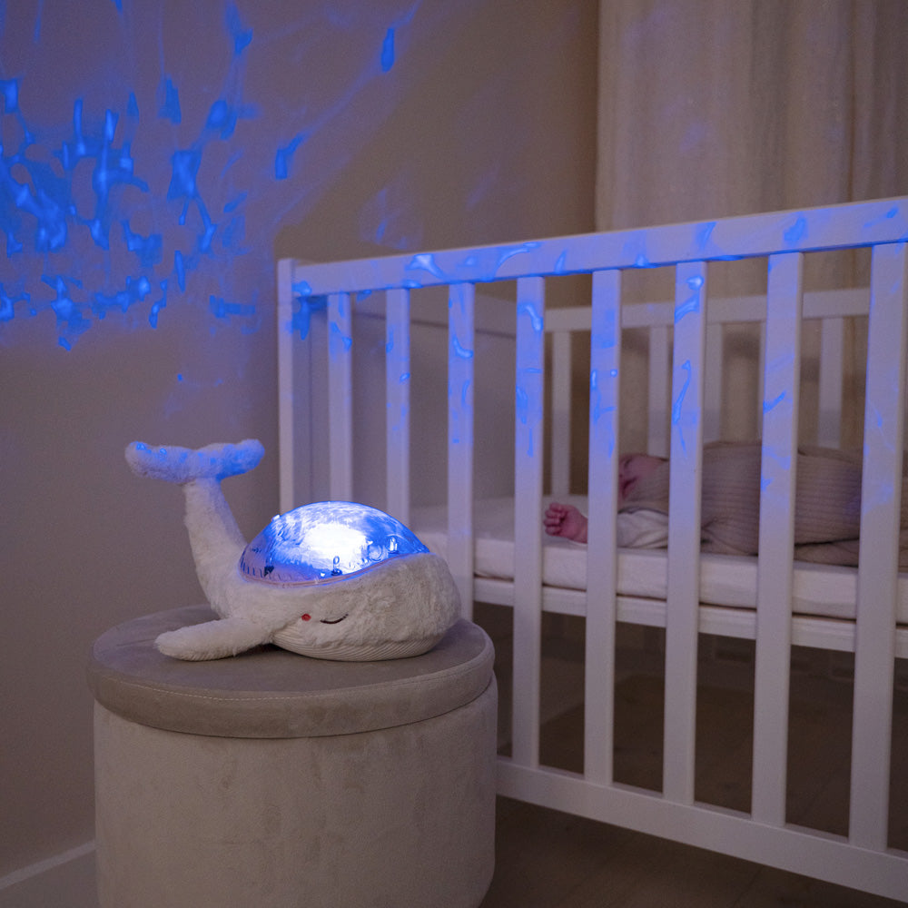 cloud b(クラウドビー)| オーシャンプロジェクター スリープホエール