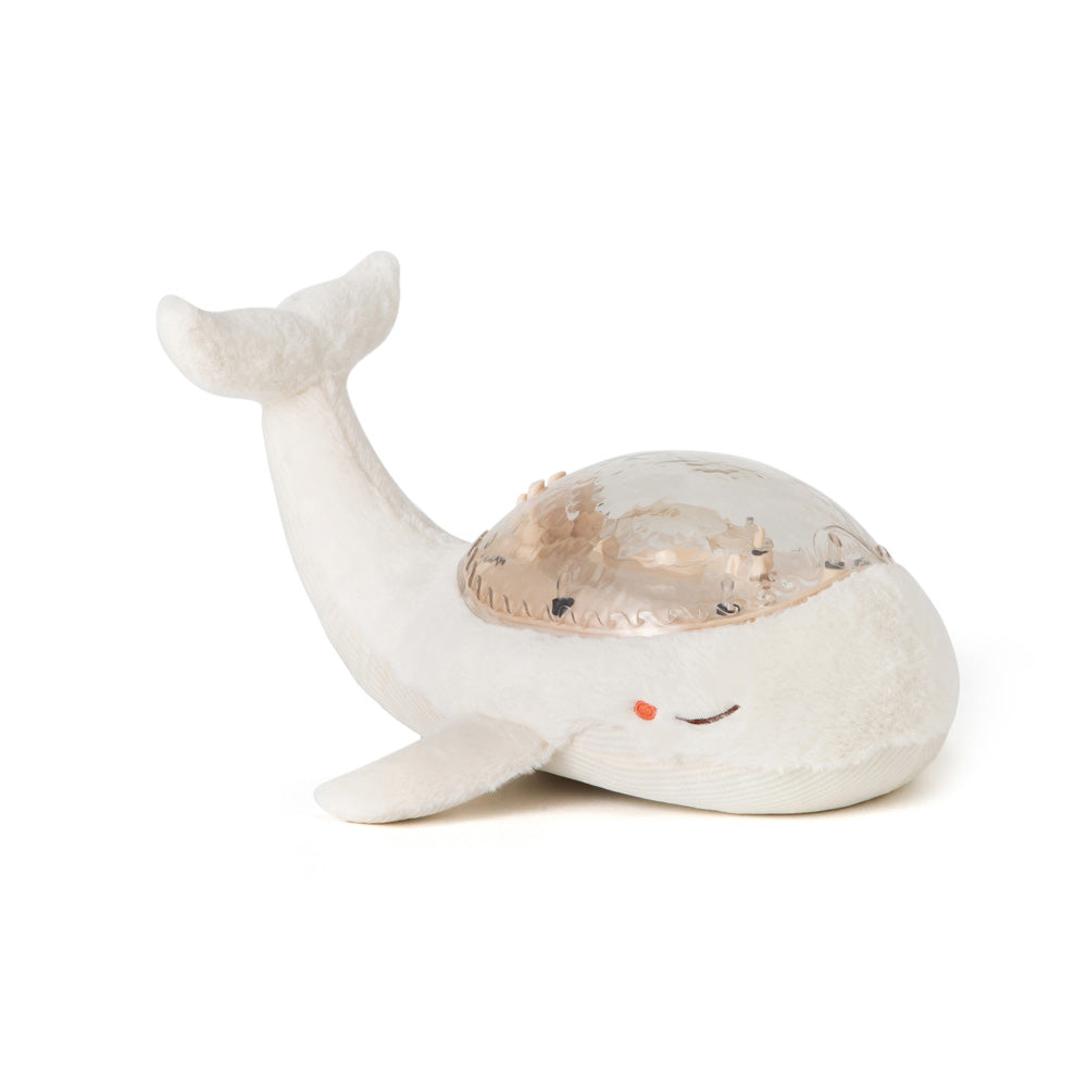 cloud b(クラウドビー)| オーシャンプロジェクター スリープホエール