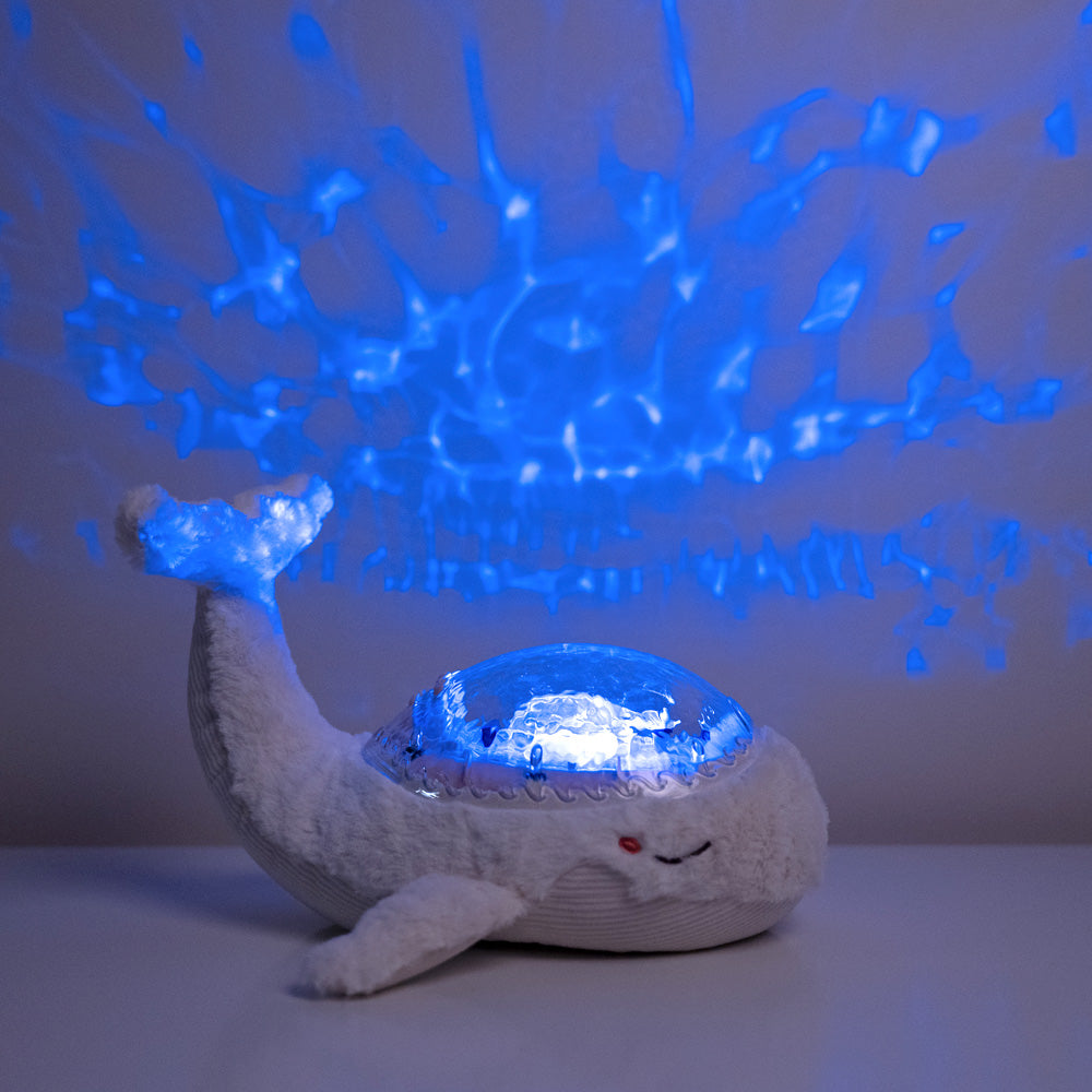 cloud b(クラウドビー)| オーシャンプロジェクター スリープホエール