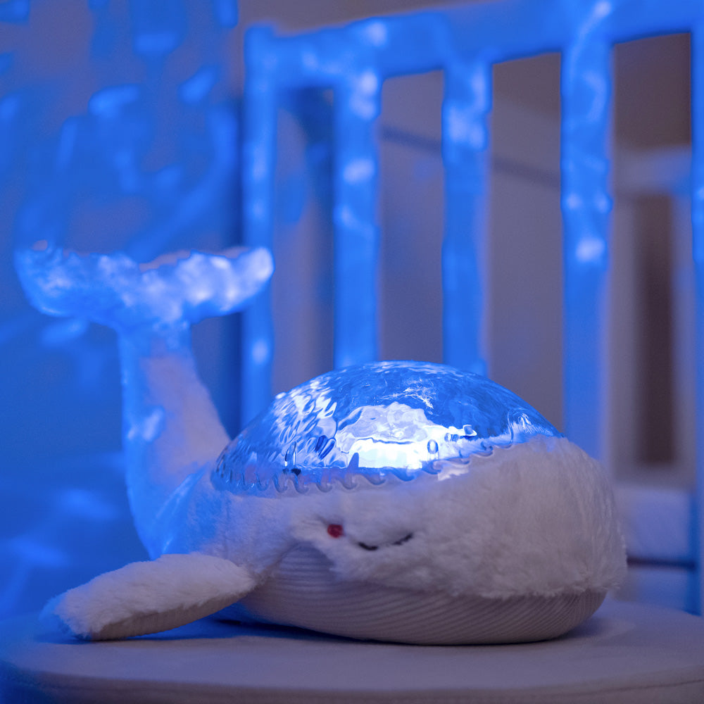 cloud b(クラウドビー)| オーシャンプロジェクター スリープホエール