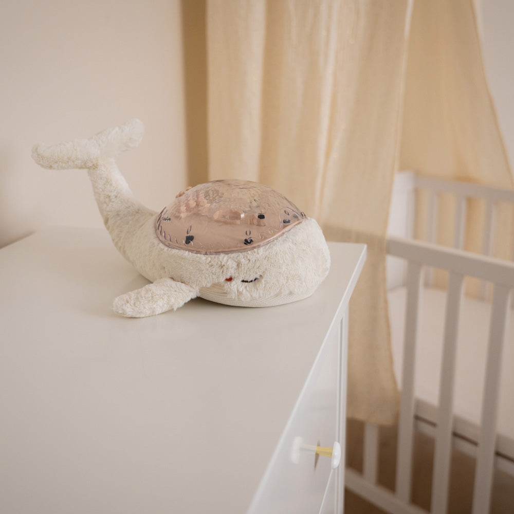 cloud b(クラウドビー)| オーシャンプロジェクター スリープホエール