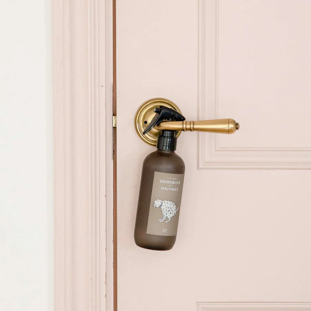CITYDOG(シティードッグ)|インテリアになる消臭剤 ワンレイ トイレ用