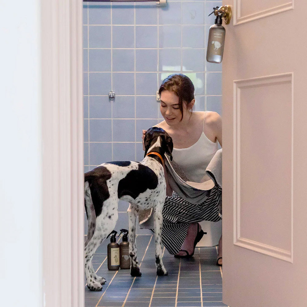 CITYDOG(シティードッグ)|インテリアになる消臭剤 ワンレイ トイレ用