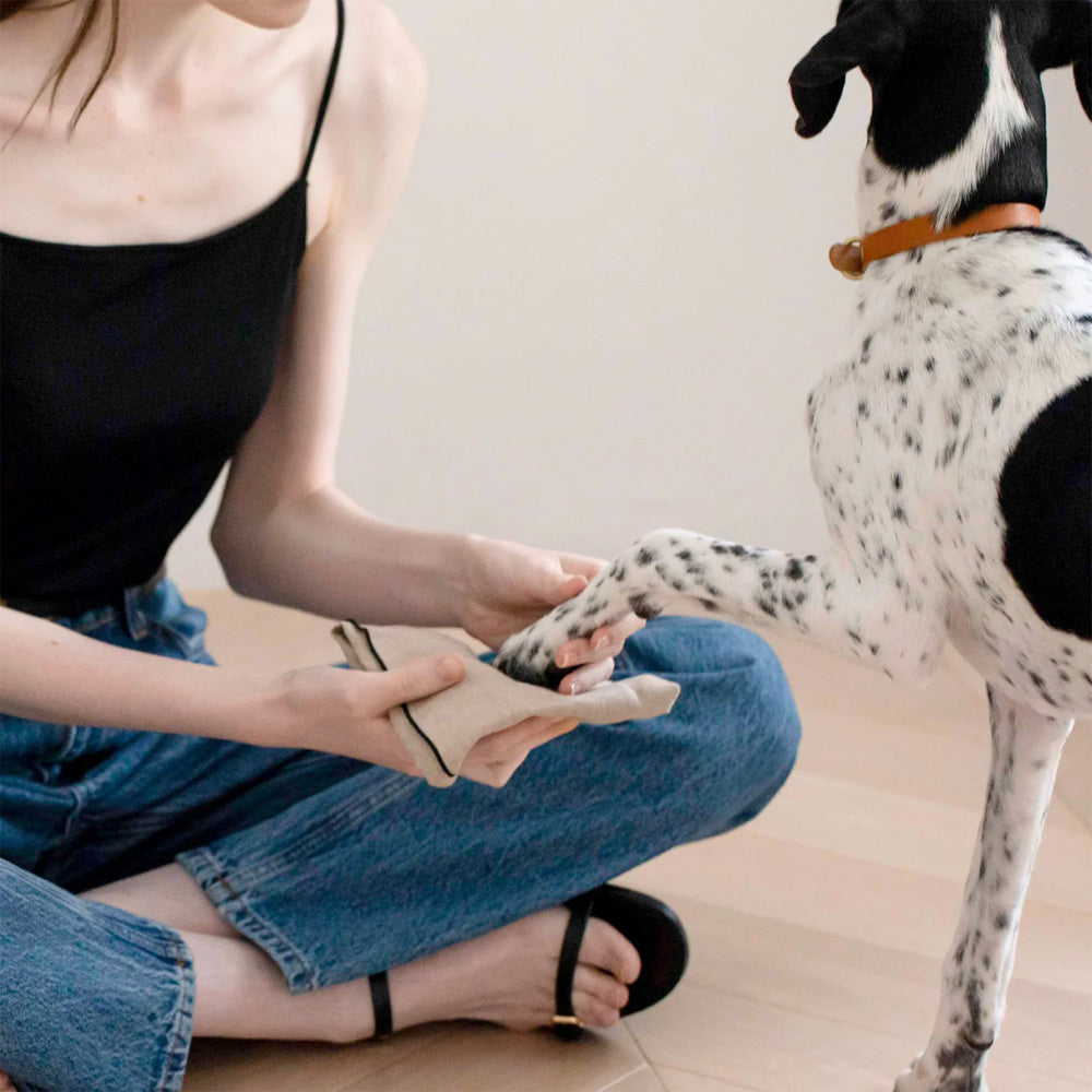 CITYDOG(シティードッグ)|インテリアになる消臭剤 ワンレイ トイレ用