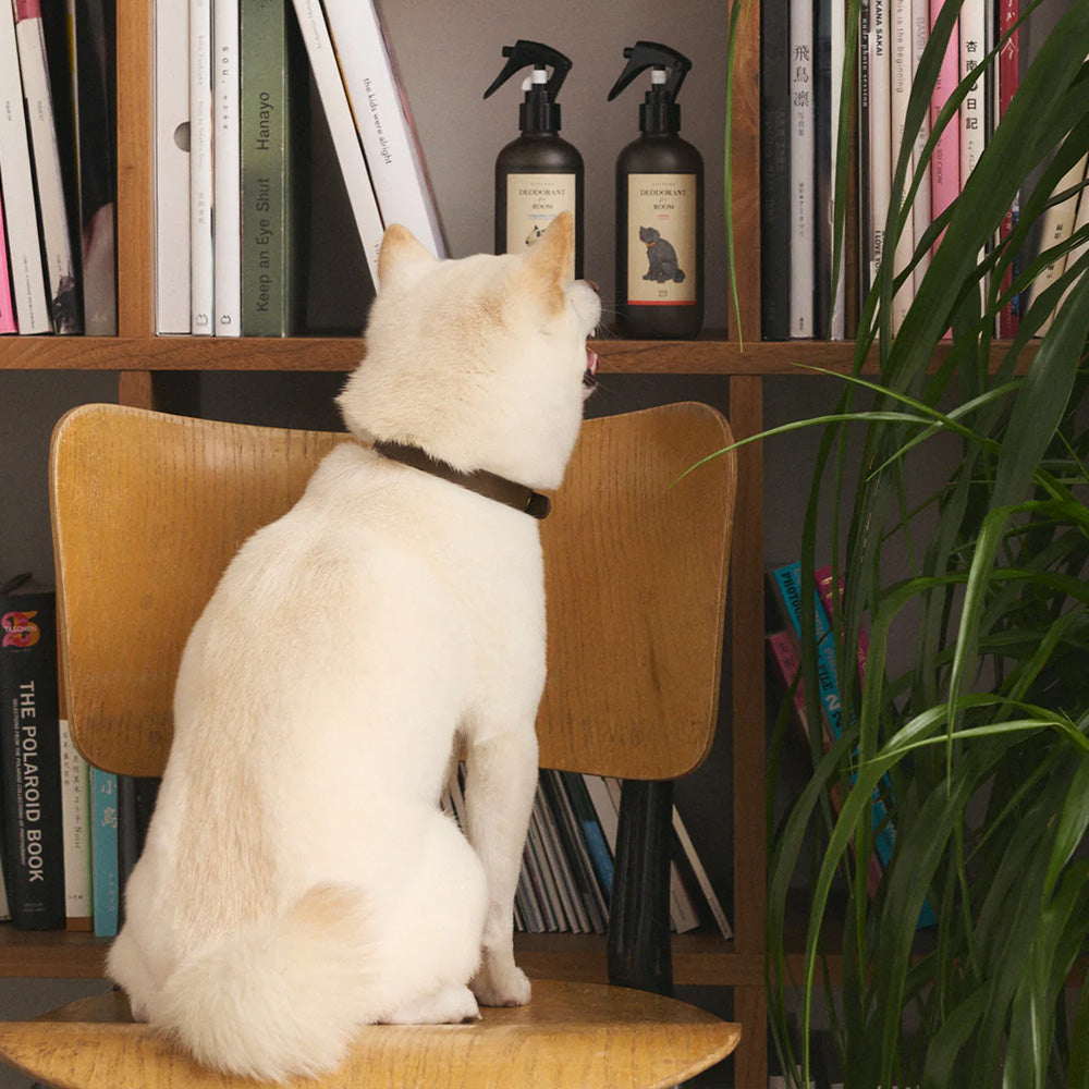 CITYDOG(シティドッグ)|インテリアになる消臭剤 ワンレイ お部屋用