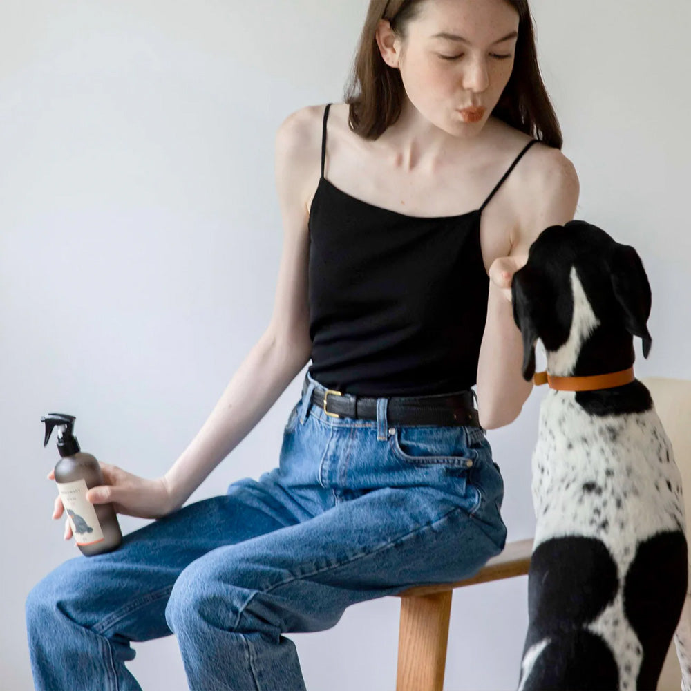 CITYDOG(シティドッグ)|インテリアになる消臭剤 ワンレイ お部屋用