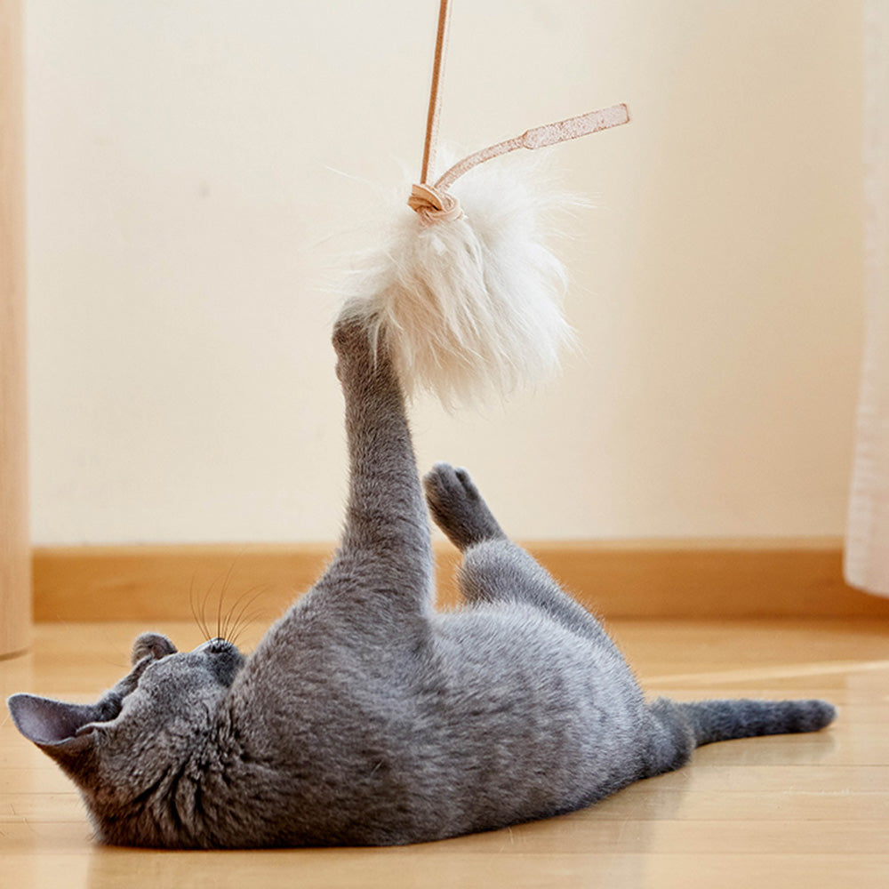 MiaCara(ミアカラ)トポ キャットトイ