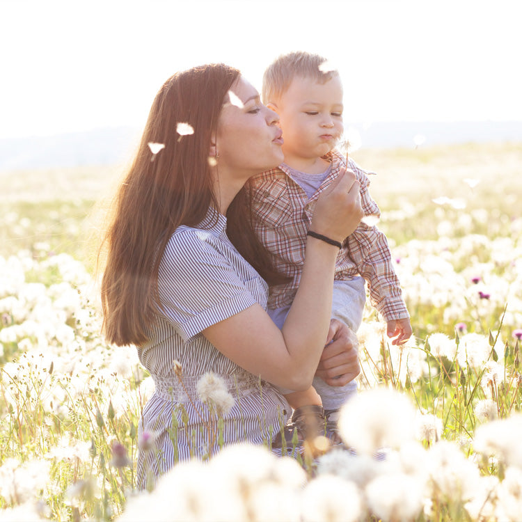 BAMBO NATURE(バンボネイチャー)|ドリーム プレミアム紙おむつ