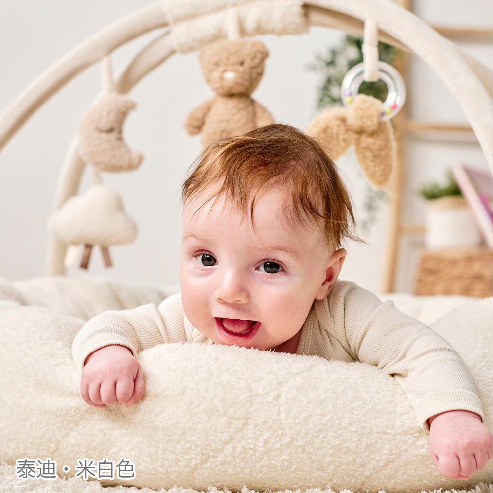 Nattou Play mat & Play gym(嬰兒遊戲墊&遊戲健力架)for Taiwan