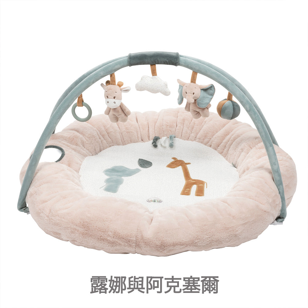 Nattou Play mat & Play gym(嬰兒遊戲墊&遊戲健力架)for Taiwan