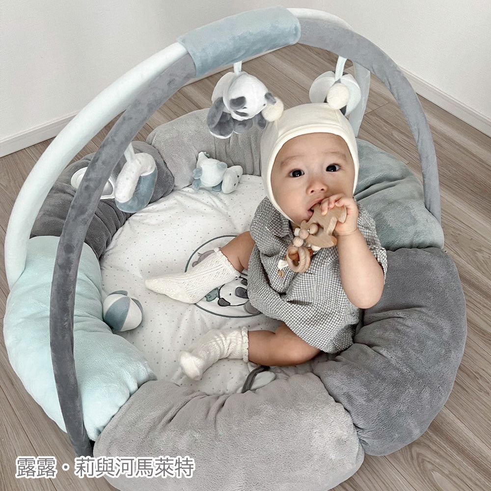 Nattou Play mat & Play gym(嬰兒遊戲墊&遊戲健力架)for Taiwan