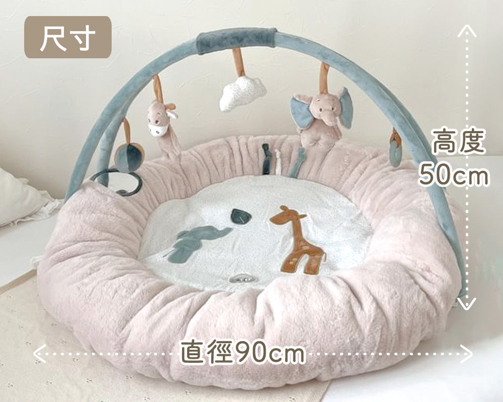 Nattou Play mat & Play gym(嬰兒遊戲墊&遊戲健力架)for Taiwan