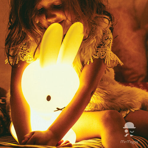 Mr.Maria(ミスターマリア)|ミッフィーライト(ルームランプ・間接照明)