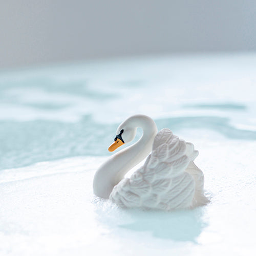 Natruba(ナチュルバ)|スワンのバストイ