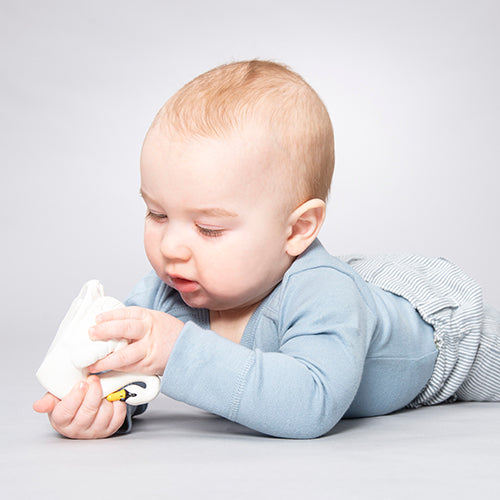 Natruba(ナチュルバ)|スワンのバストイ