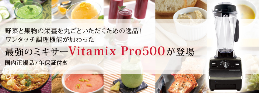 【Vitamix】Vitamix Pro500（バイタミックス プロ500）