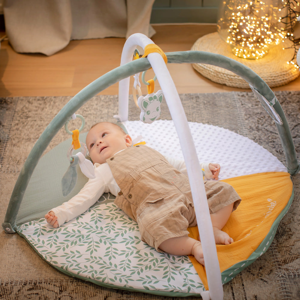 キリンのソフィー｜マイルストーンベビージム｜Vulli（ヴュリ）