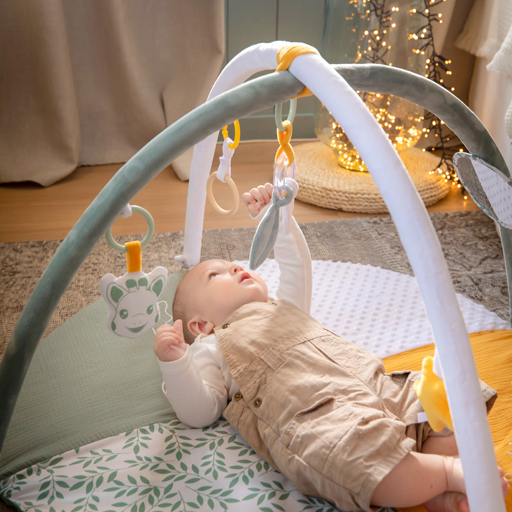 キリンのソフィー｜マイルストーンベビージム｜Vulli（ヴュリ）