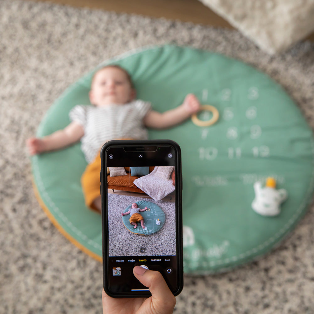 キリンのソフィー｜マイルストーンベビージム｜Vulli（ヴュリ）