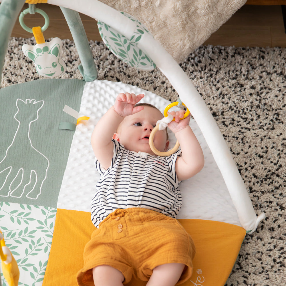 キリンのソフィー｜マイルストーンベビージム｜Vulli（ヴュリ）