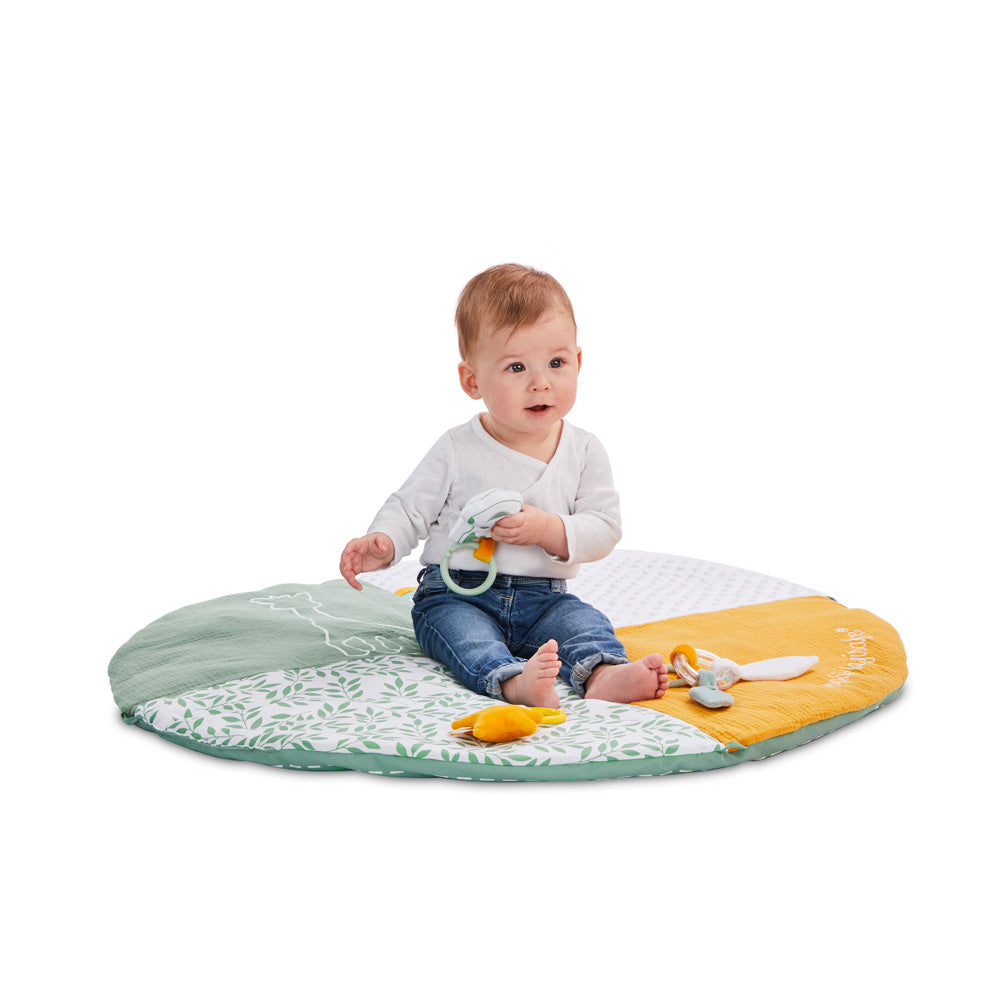 キリンのソフィー｜マイルストーンベビージム｜Vulli（ヴュリ）