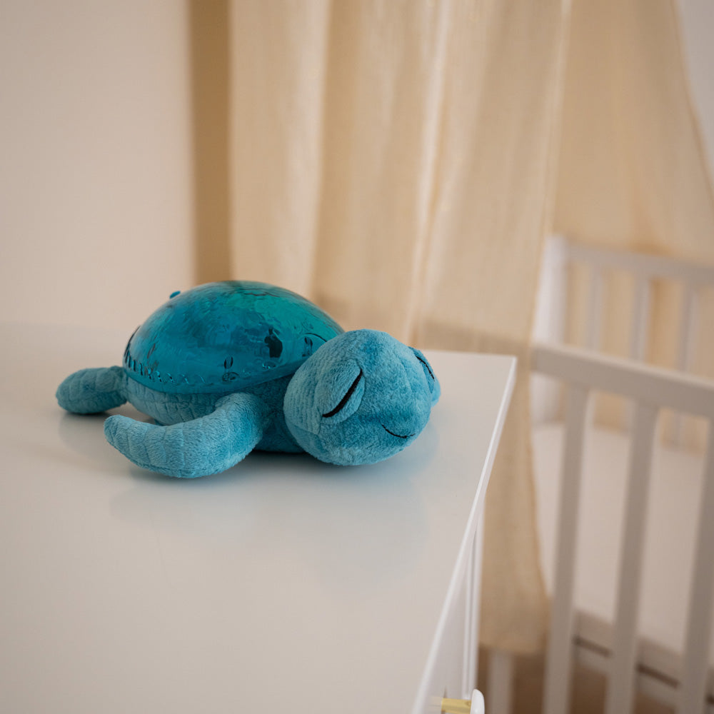 cloud b（クラウドビー）｜ オーシャンプロジェクター アクアタートル