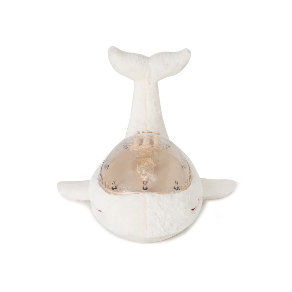 cloud b（クラウドビー）｜ オーシャンプロジェクター スリープホエール