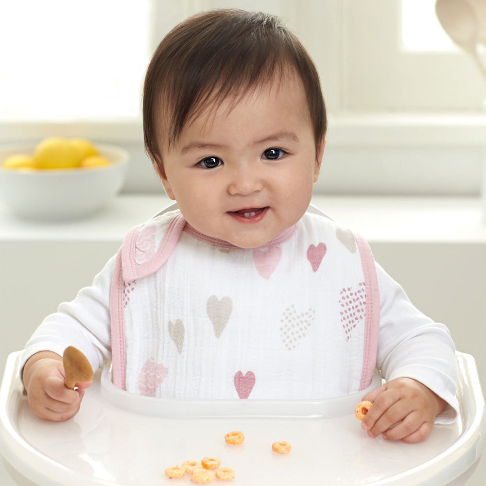 aden + anais（エイデンアンドアネイ） | スナップビブ（ベビースタイ）セット