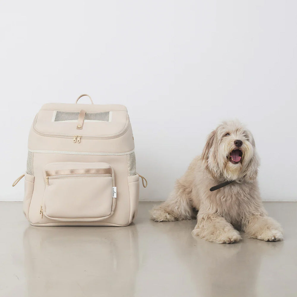 CITYDOG（シティドッグ）｜上部メッシュ付き ネオプレーンバックパックキャリー