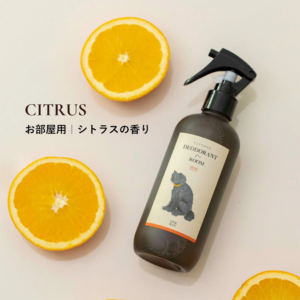 CITYDOG（シティドッグ）｜インテリアになる消臭剤 ワンレイ お部屋用