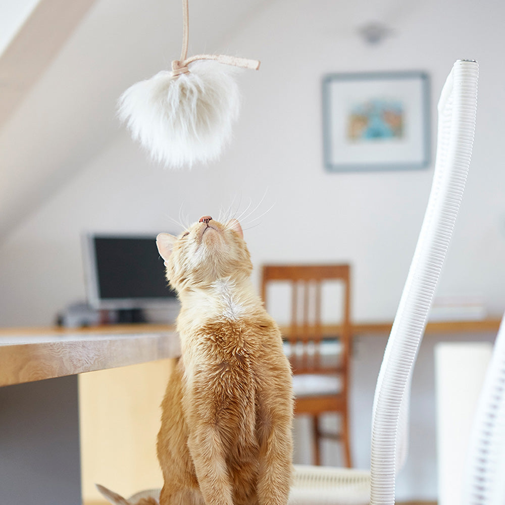 MiaCara（ミアカラ）トポ キャットトイ
