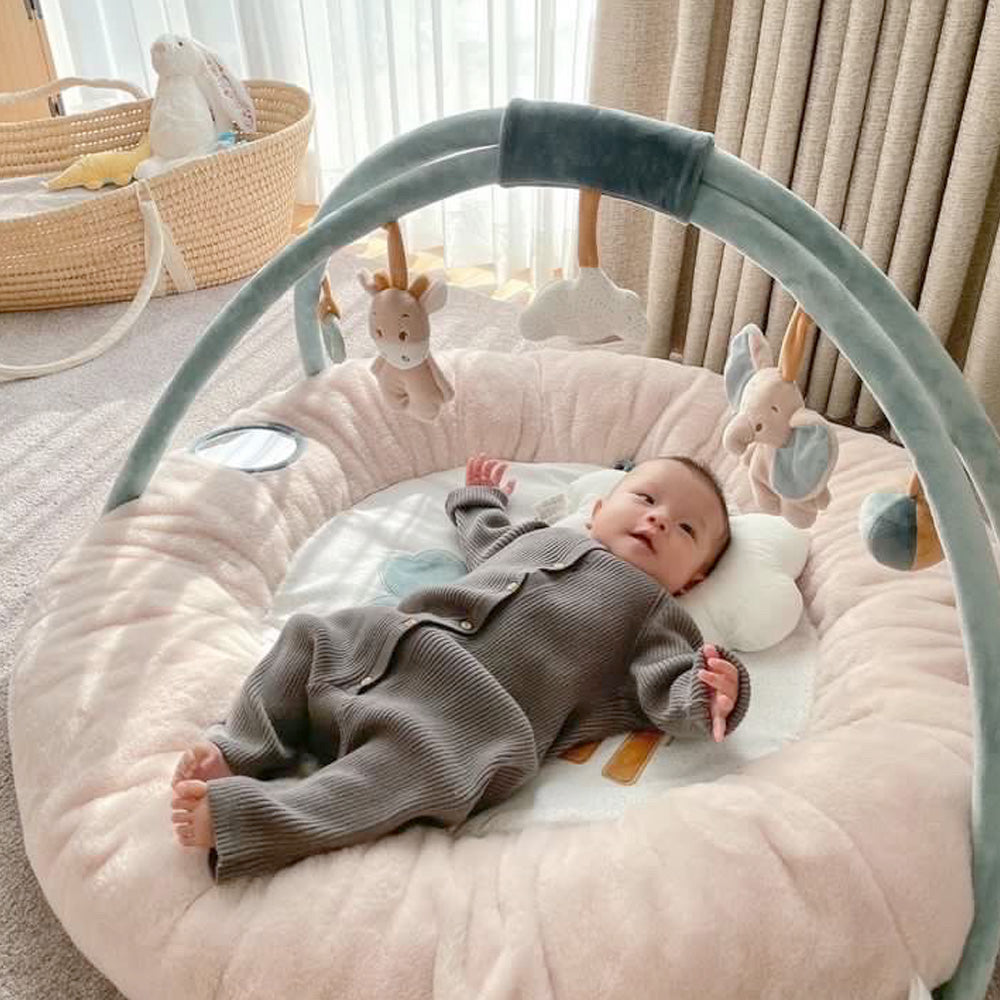 Nattou Play mat & Play gym（嬰兒遊戲墊&遊戲健力架）for Taiwan