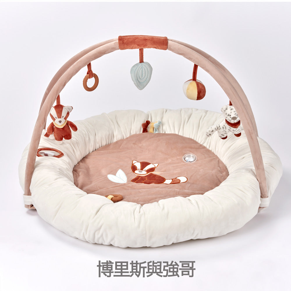 Nattou Play mat & Play gym（嬰兒遊戲墊&遊戲健力架）for Taiwan