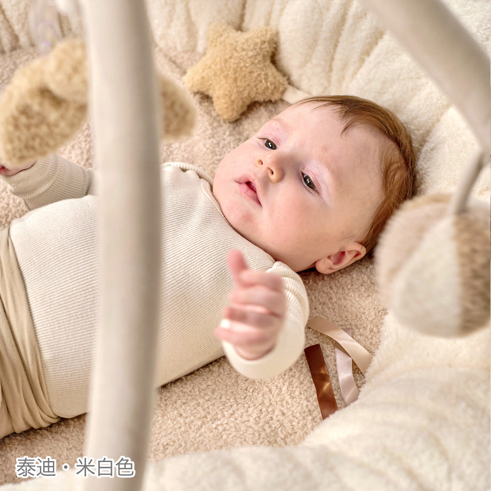 Nattou Play mat & Play gym（嬰兒遊戲墊&遊戲健力架）for Taiwan