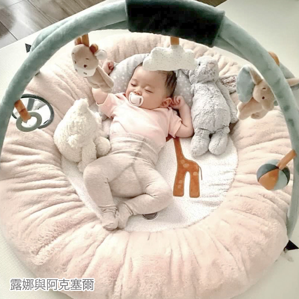 Nattou Play mat & Play gym（嬰兒遊戲墊&遊戲健力架）for Taiwan