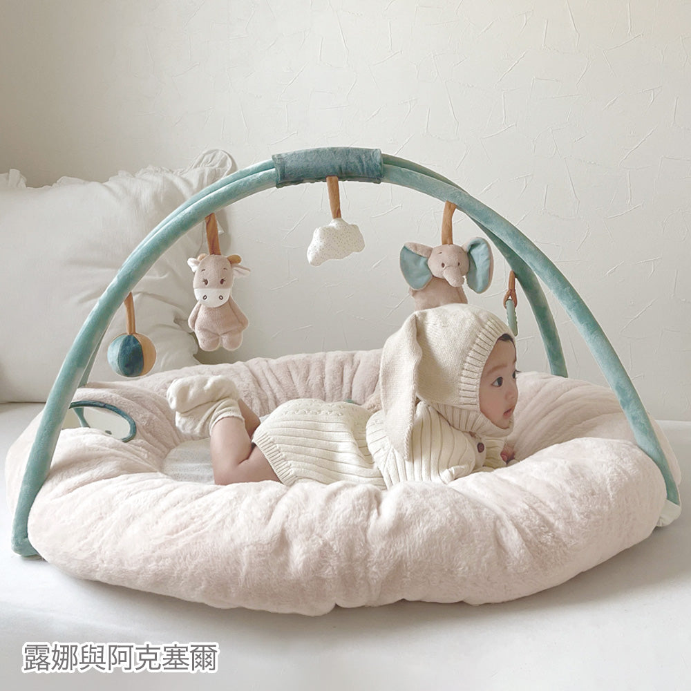 Nattou Play mat & Play gym（嬰兒遊戲墊&遊戲健力架）for Taiwan