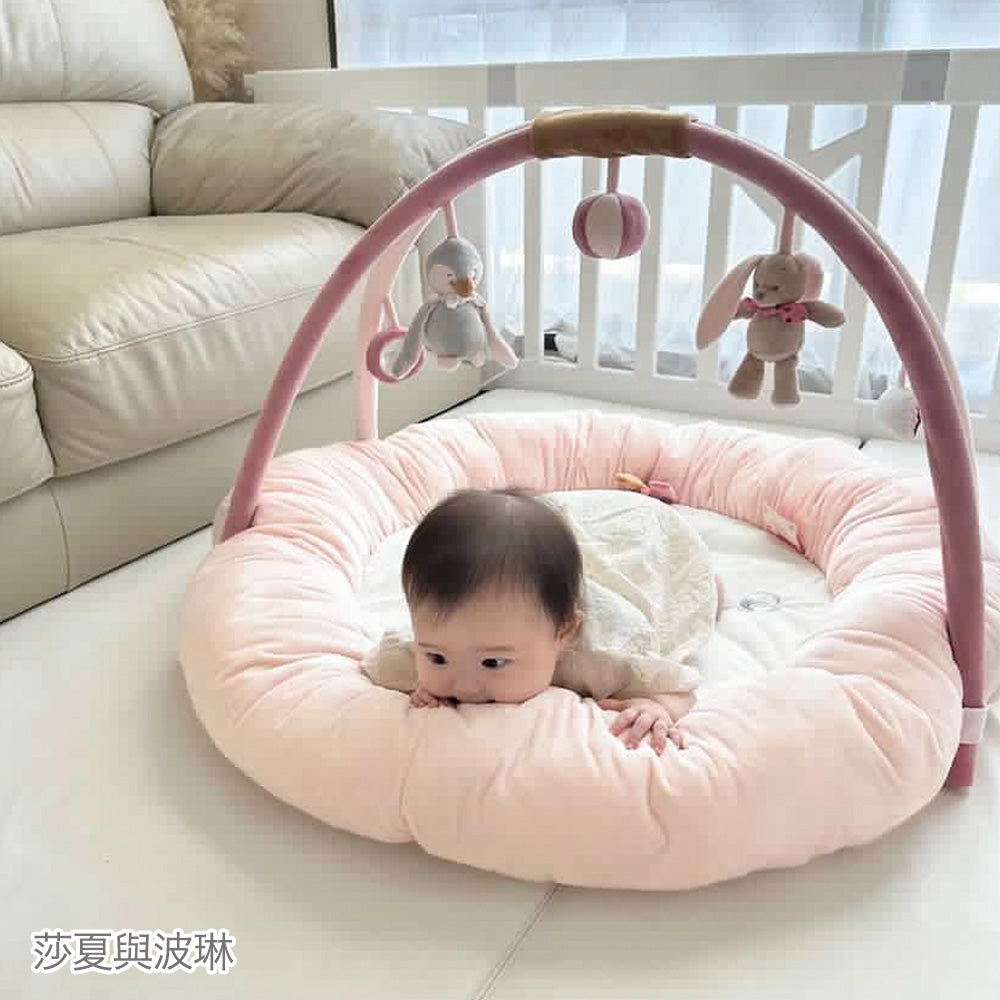 Nattou Play mat & Play gym（嬰兒遊戲墊&遊戲健力架）for Taiwan